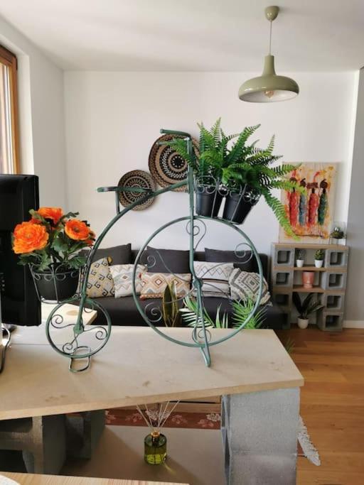 The Duplex Annecy Tgv; Vielle Ville 외부 사진