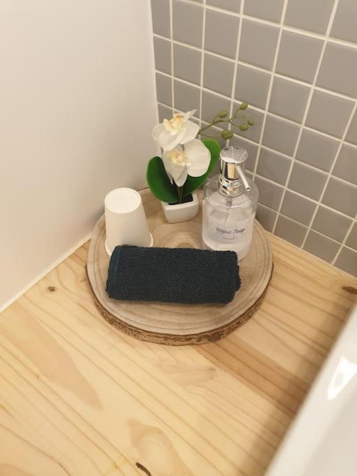 The Duplex Annecy Tgv; Vielle Ville 외부 사진