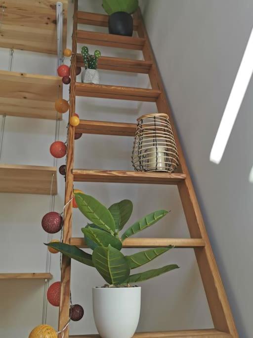 The Duplex Annecy Tgv; Vielle Ville 외부 사진
