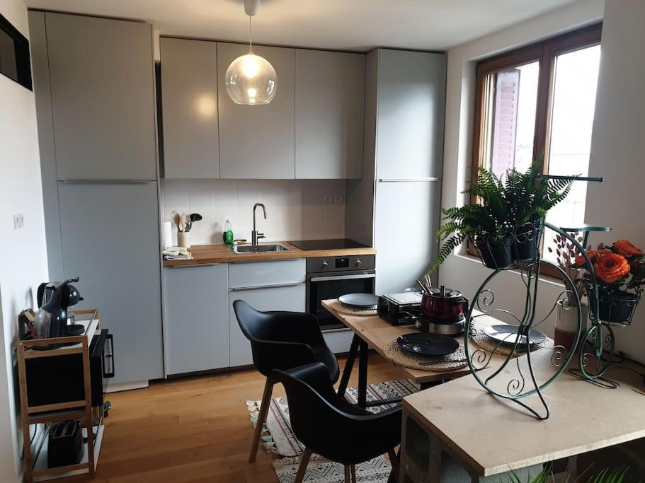 The Duplex Annecy Tgv; Vielle Ville 외부 사진