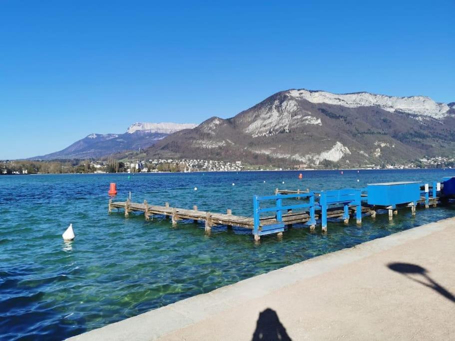 The Duplex Annecy Tgv; Vielle Ville 외부 사진