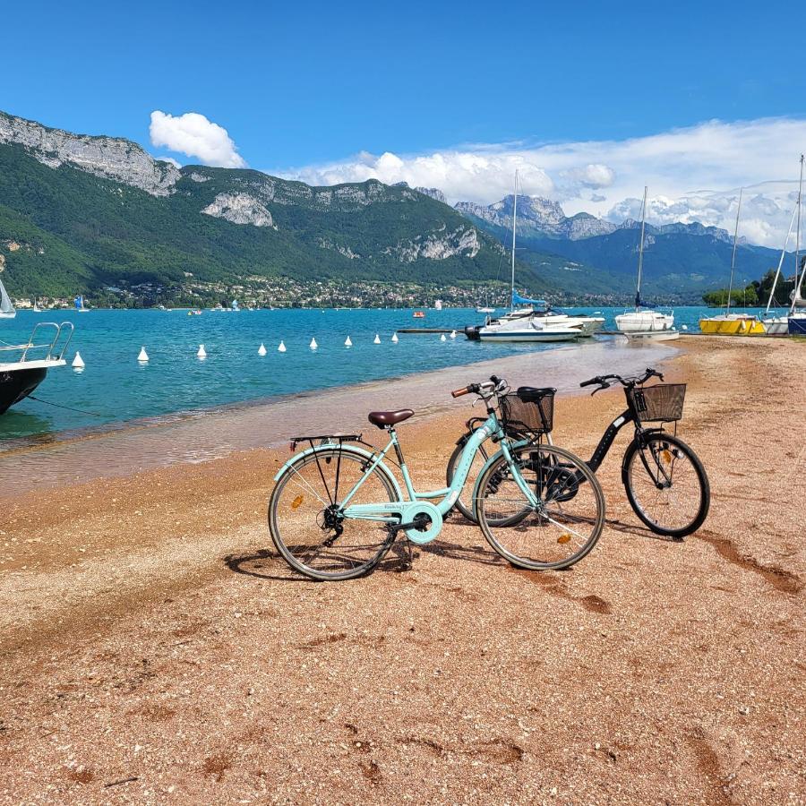 The Duplex Annecy Tgv; Vielle Ville 외부 사진